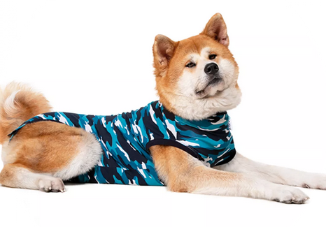 Suiticals Recovery Suit - Nickel City Pet Pantry