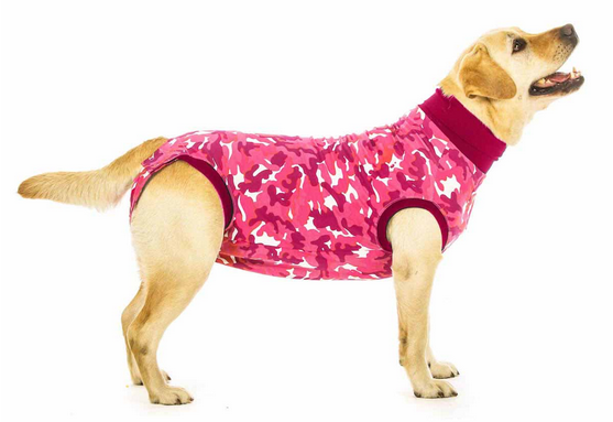 Suiticals Recovery Suit - Nickel City Pet Pantry